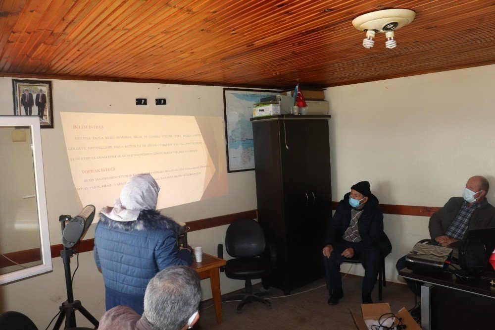 Karamürsel’in Köylerinde ’melisa’ Bitkisi Yetiştirilecek