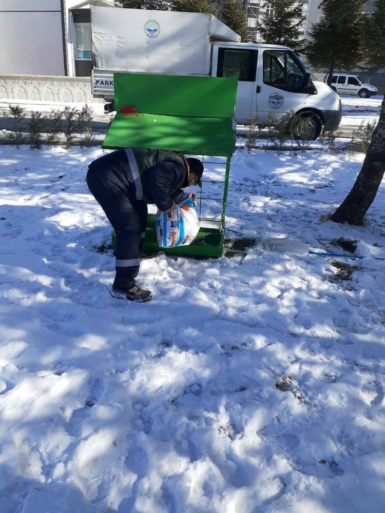 Kulu’da Sokak Hayvanları Unutulmadı