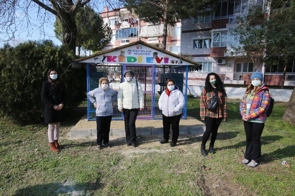 Selçuk’ta Kediler Günü’nde Can Dostlarına Kedi Evi