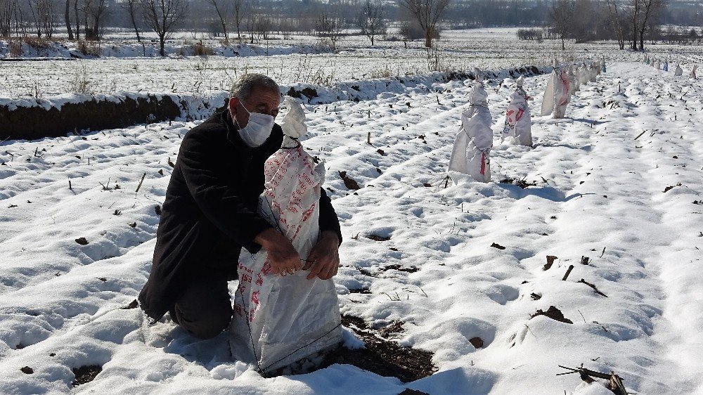 Çiftçiden Zirai Dona Karşı Sıra Dışı Önlem