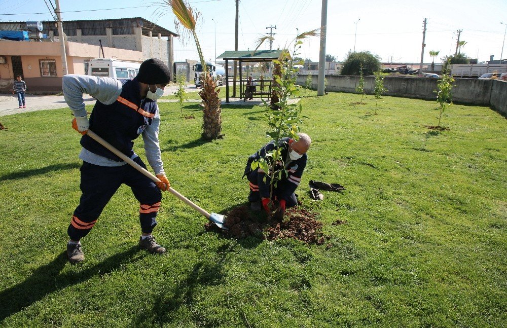 Akdeniz’deki Parklar Bakımdan Geçiriliyor