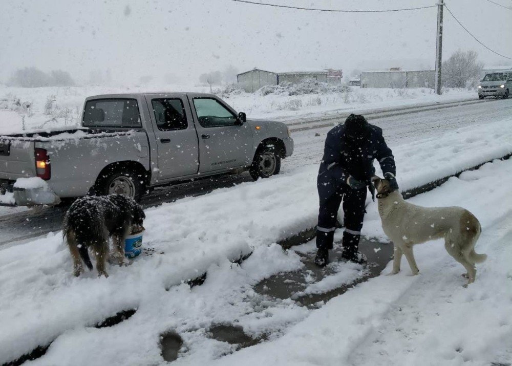 Oral: "can Dostlarımız İçin De Görev Başındayız"