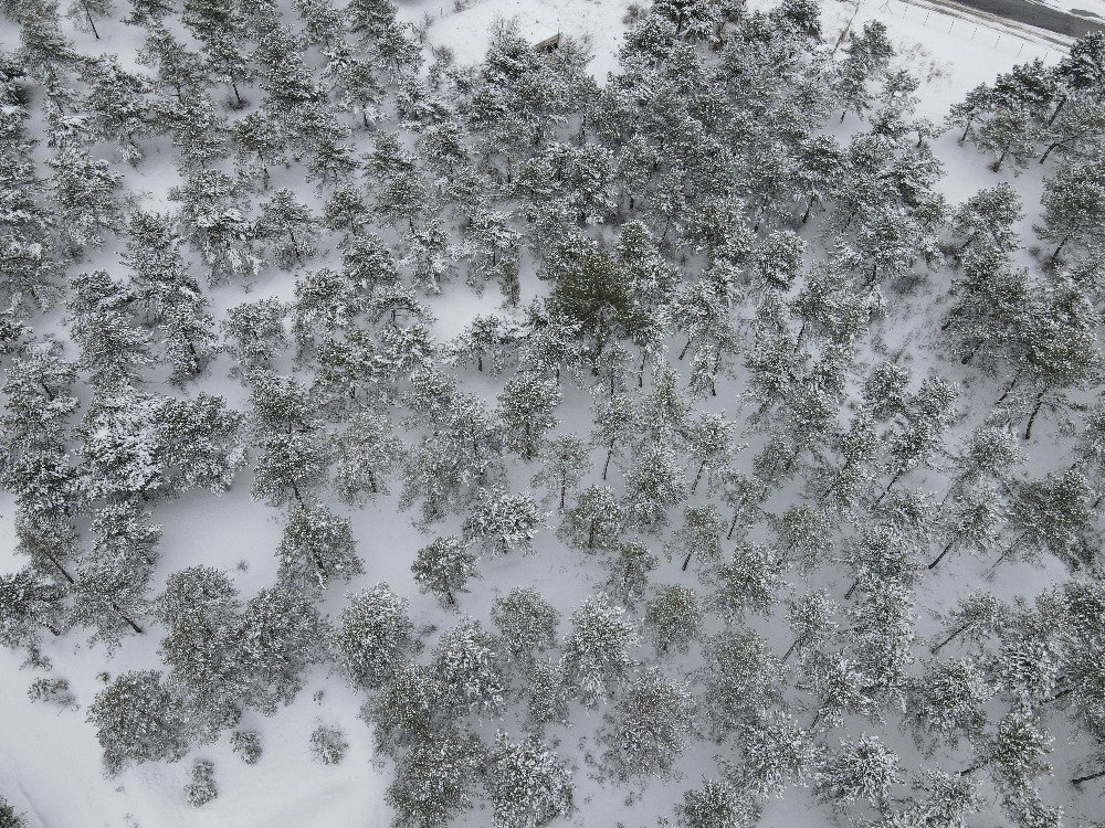 Çorum’da Kartpostallık Kar Manzaraları