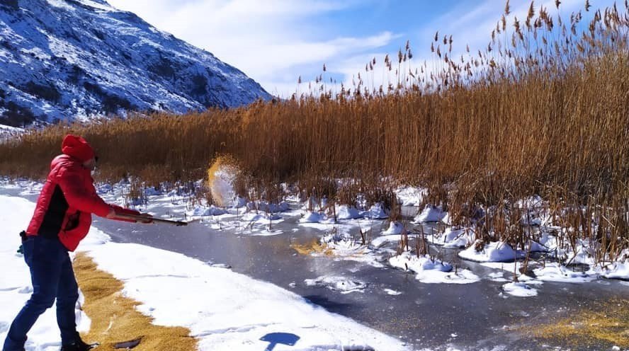 Dkmp Ekipleri Yaban Hayatı İçin Yemleme Çalışması Yaptı