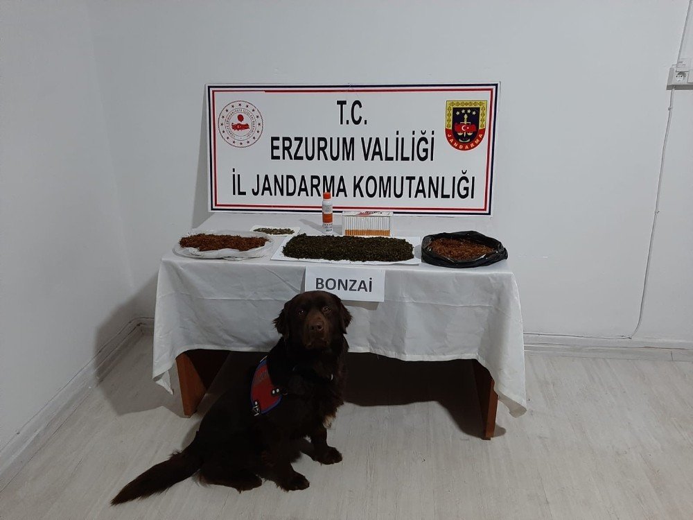 Erzurum’da Yapılan Operasyonlarda Uyuşturucuya Geçit Verilmedi