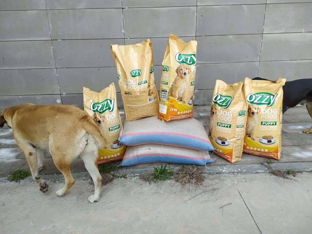 Sokak Hayvanlarını Ve Kuşları Beslemesi Karşılığında Şikayetinden Vazgeçti