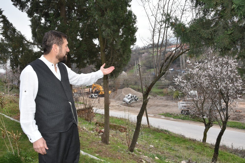 Kar Ve Don Çiçek Açan Ağaçları Etkiledi