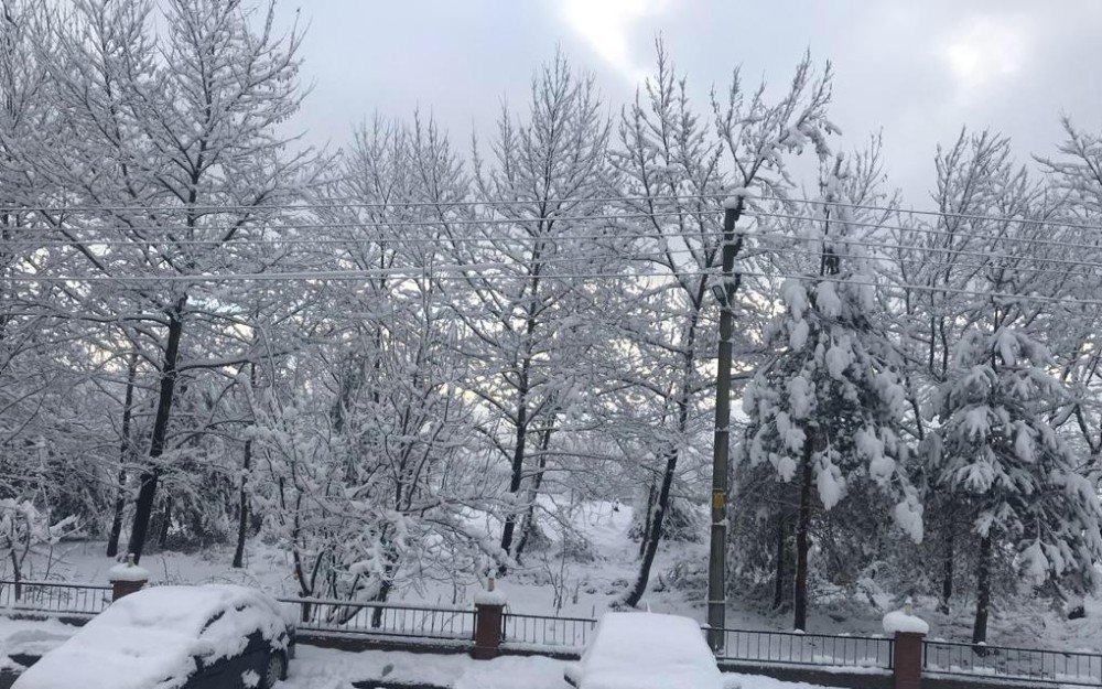 Chp’li Belediye Yeşil Alanı İmara Açtı, Vatandaşlar Tepki Gösterdi