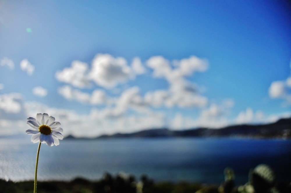 Baharın Müjdecisi İlk Cemre Havaya Düştü