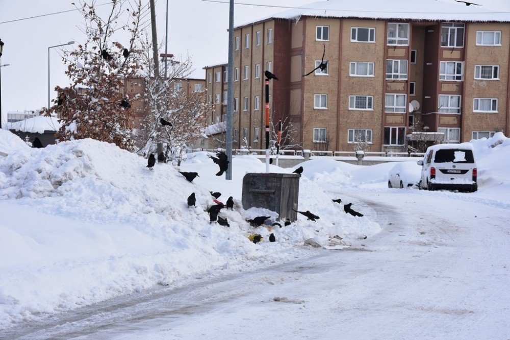 Bitlis Kara Gömüldü