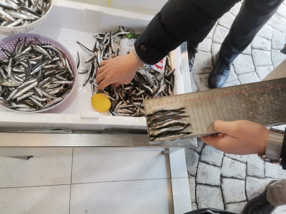 Ordu’da Balık Tezgahlarına Soy Ve Mavi Işık Denetimi