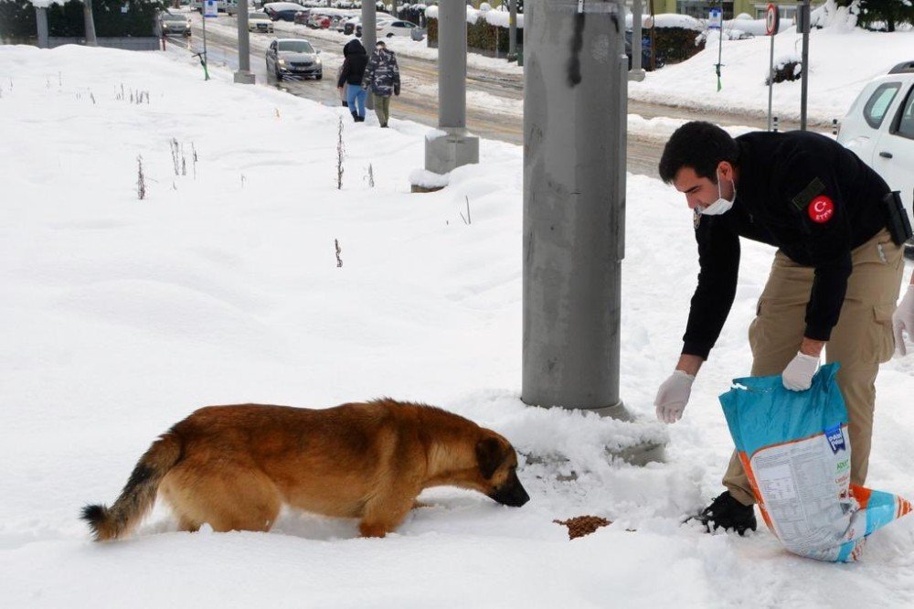 Türk Polisinden Yürekleri Isıtan Hareket