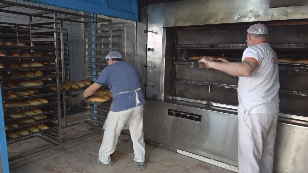 Hafta Sonu Sokaklar Sokak Hayvanlarına Kaldı