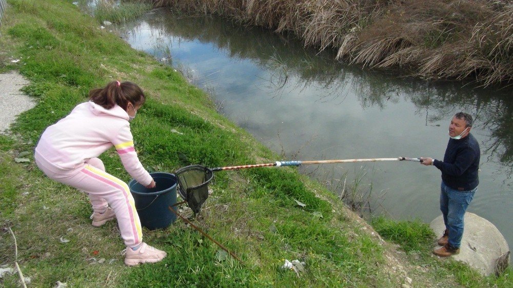 Antalya’da 9 Yaşındaki Ecrin’den İnsanlık Dersi