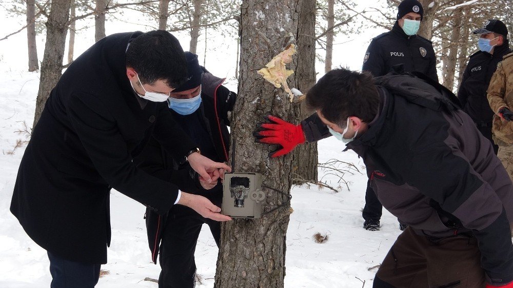 Kaymakam Doğaya Yem Bırakarak, Belirli Bölgelere Foto Kapan Yerleştirdi
