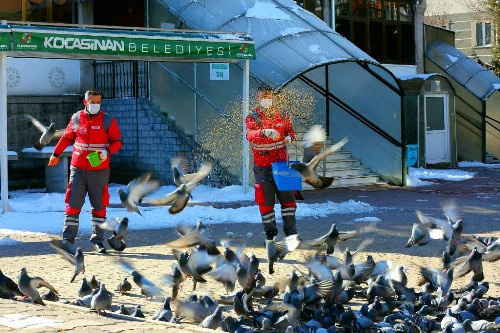 Kocasinan Belediyesi’nden Sokak Hayvanları İçin Seferberlik