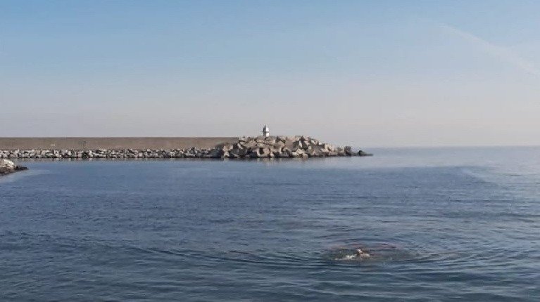 Kış Ayında Denize Girdi