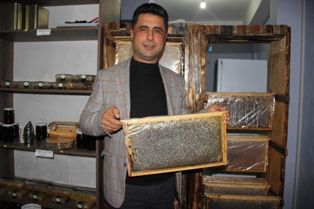 Arıcılık ‘resmi Meslek Statüsü’ Kazandı