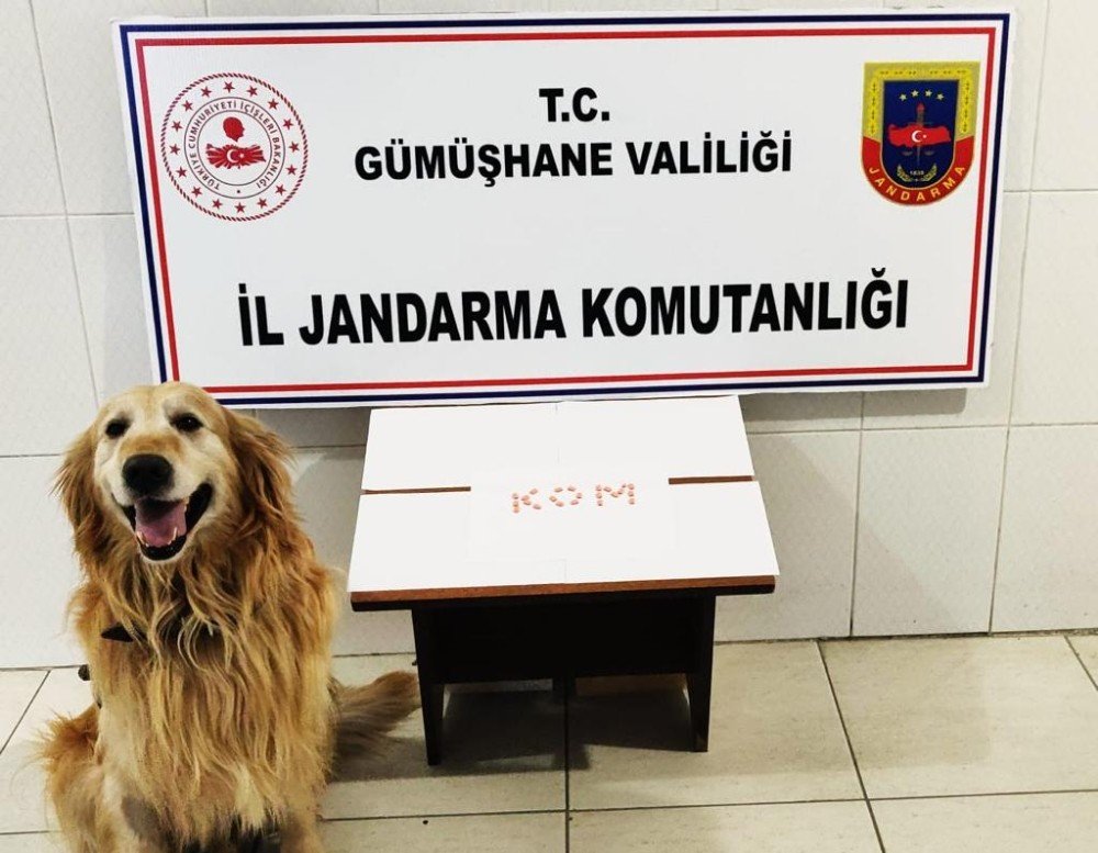 Gümüşhane’de Extacy Hap Ve Tütün Operasyonu