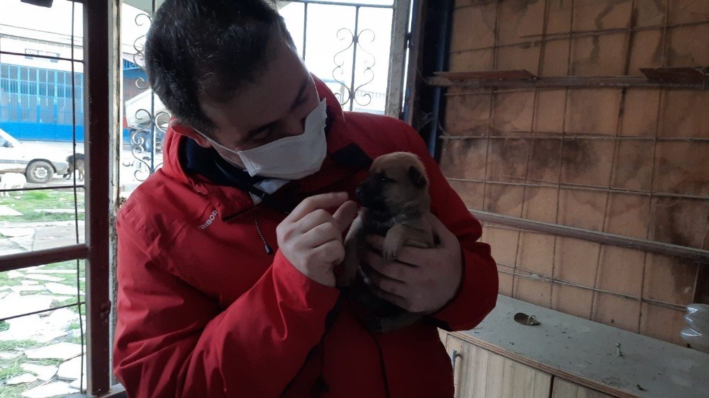 Jandarma Aldı, Bipativer Derneği Dağıttı