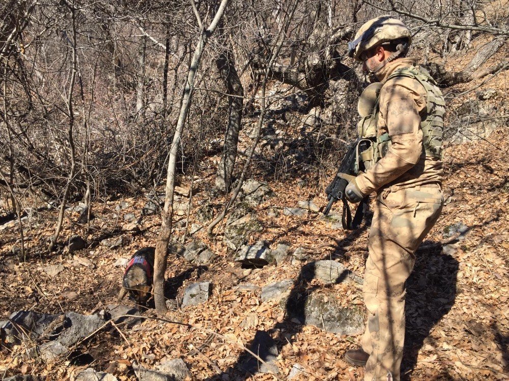 Tunceli’de Eren-7 Mercan-munzur Operasyonunda 2 Sığınak İmha Edildi