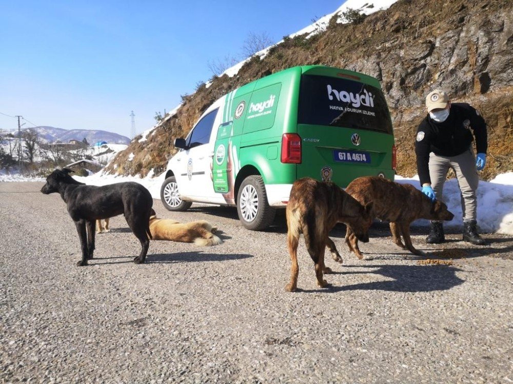 Zonguldak Polisi Sokaktaki Canları Unutmadı
