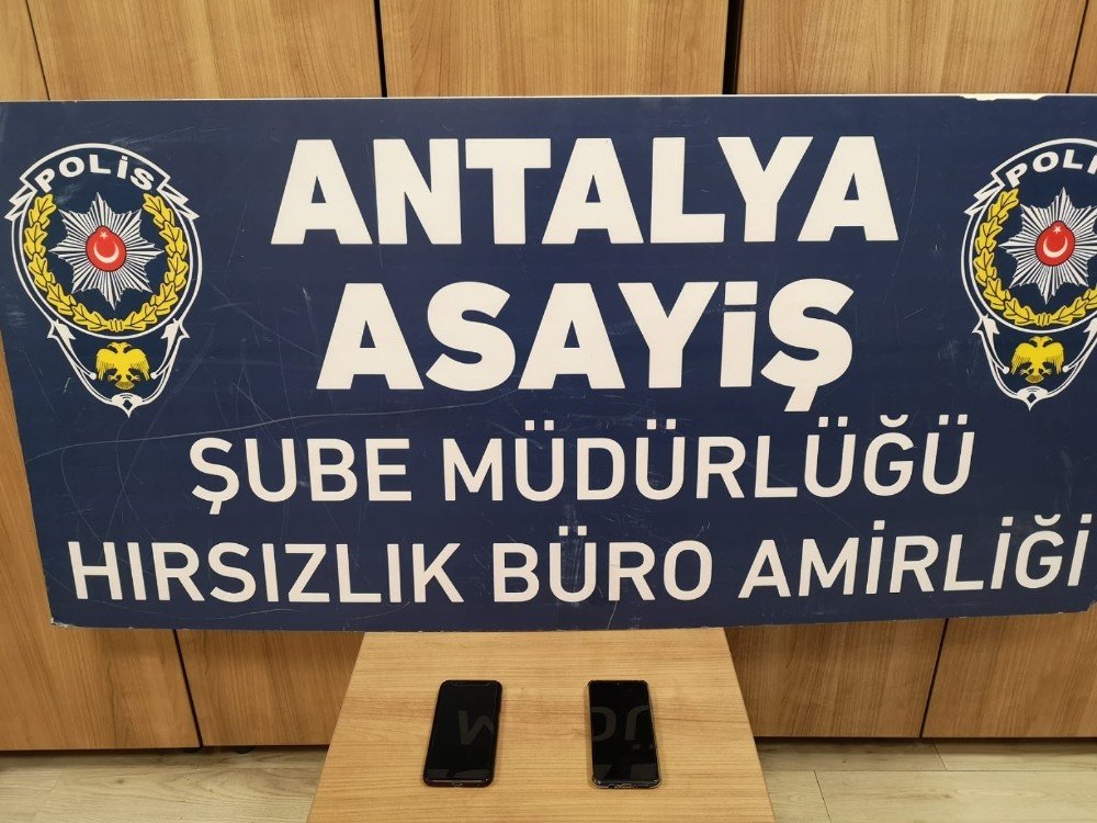 Adana’dan Antalya’ya Gelen Balkon Fareleri Yakalandı