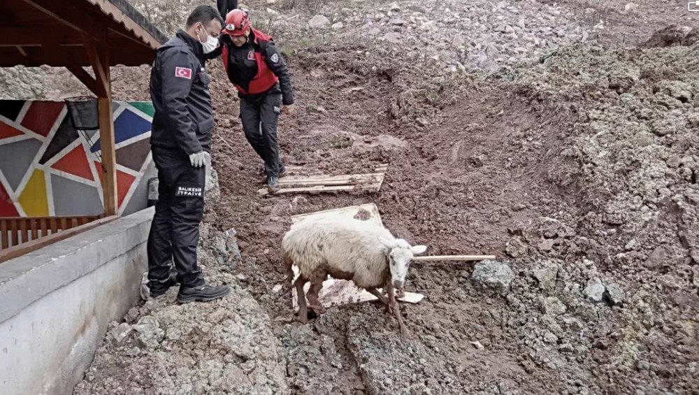 Edremit’te İtfaiyenin Kuzu Kurtarma Operasyonu