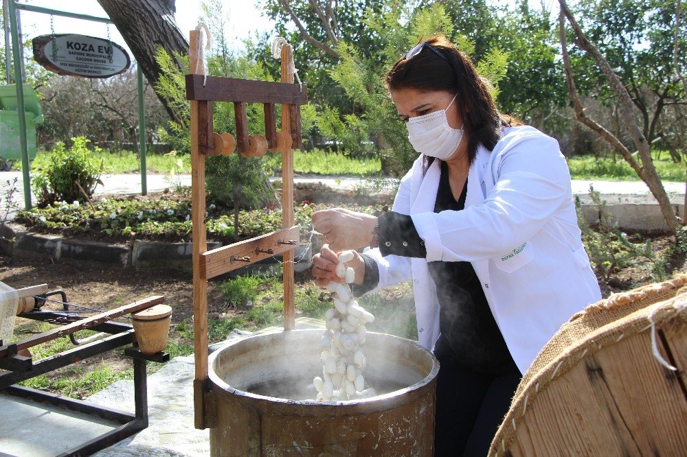 Hataylı Kadınlar İpekçiliği Yaşatıyor