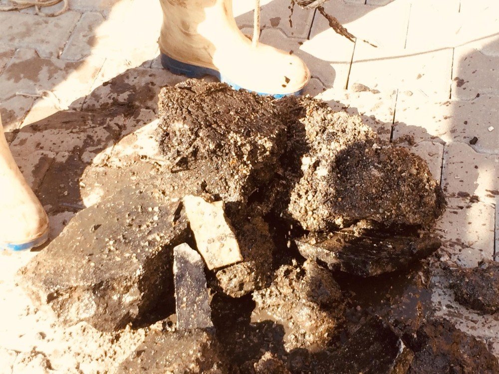 Kanalizasyondan Çıkanlar Şaşırttı