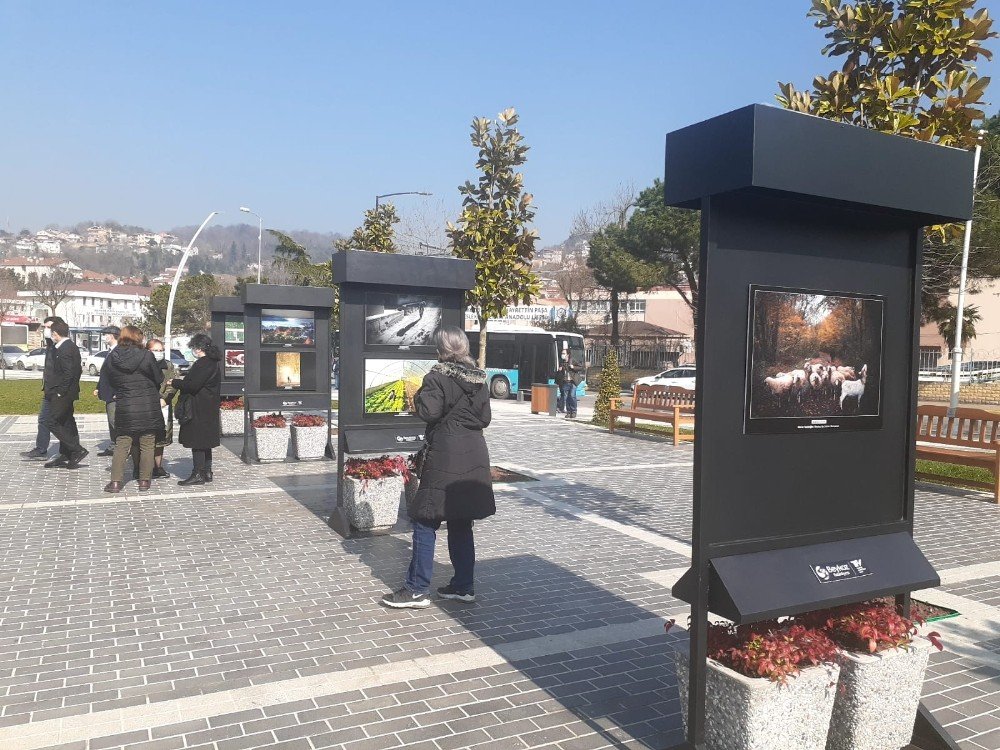 2. Beykoz Fotoğraf Yarışması Ödül Töreni Gerçekleşti