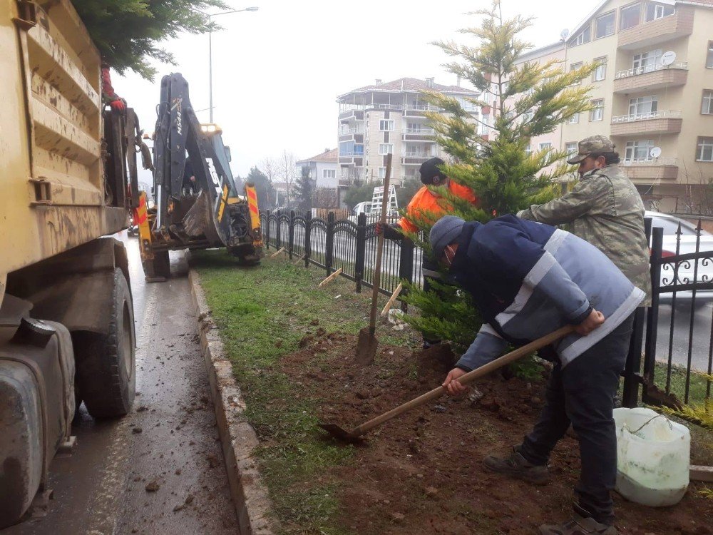 Samsun-sinop Yolunda Refüj Düzenleme Çalışması