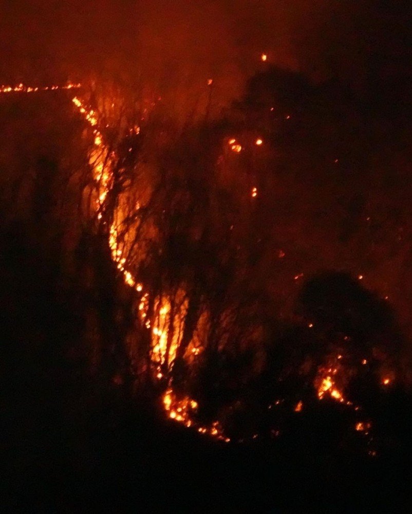 Japonya’da 3 Gündür Süren Yangında, 50 Hektarlık Alan Kül Oldu