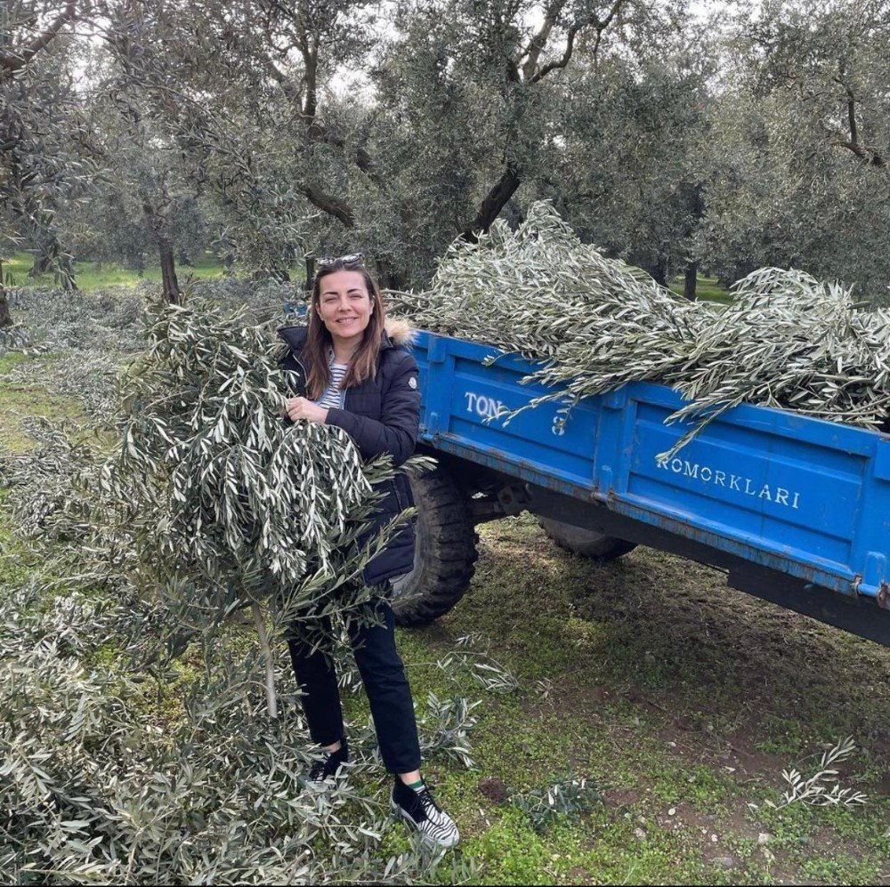 Ünlü Oyuncu Burcu Kara Babasının Tarlasında Zeytin Dalı Topladı