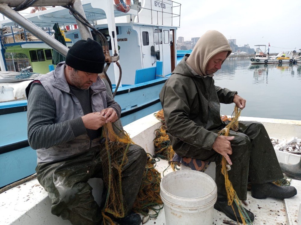 Zonguldaklı Balıkçılar 100 Kilogram Mezgitle Limana Döndü