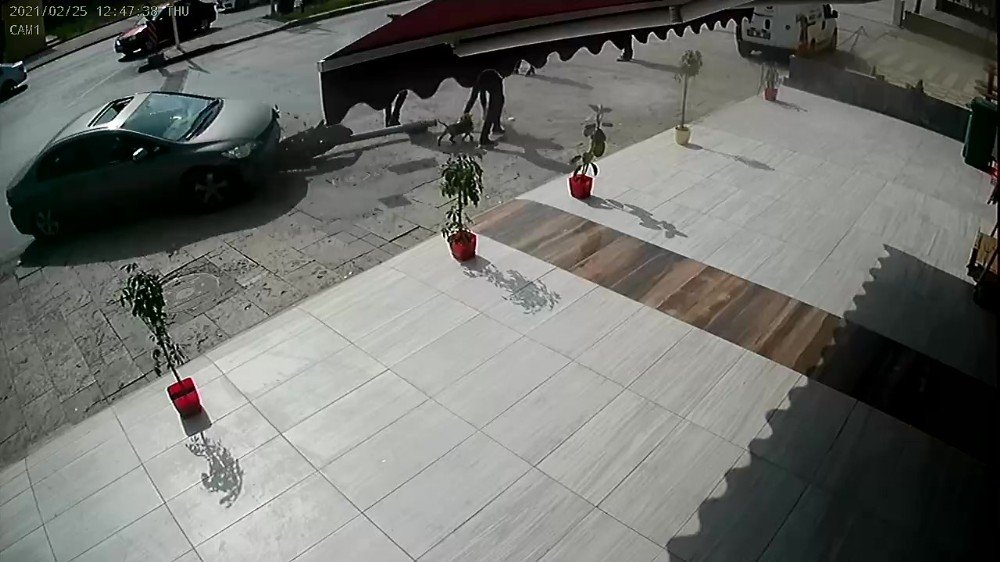 Fren Yerine Gaza Basan Kadın Sürücü Önce Trafik Işığını Ardından 3 Yayayı Ezdi