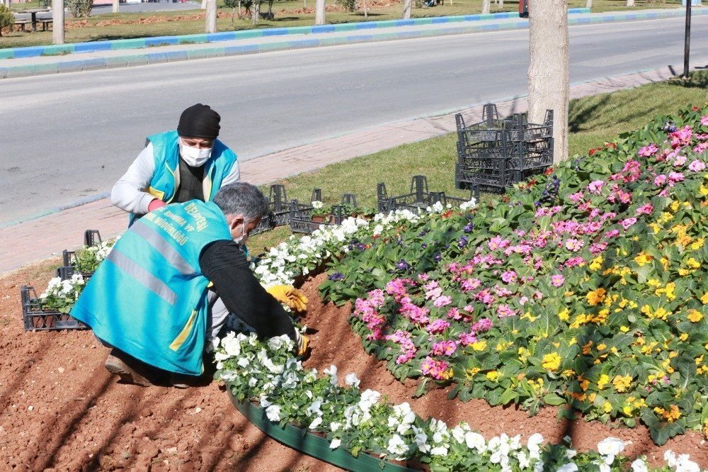 Eyyübiye’de Peyzaj Çalışması