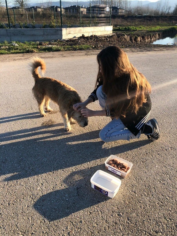 Öğrencilerden Örnek Olacak Çalışma