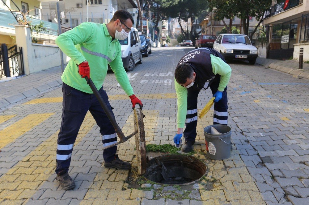 Efeler Belediyesi Kent Zararlıları İle Mücadele Ediyor