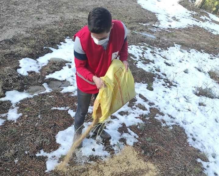 Hisarcık Kızılay Gönüllüleri Kuşlar İçin Doğaya Yem Bıraktı