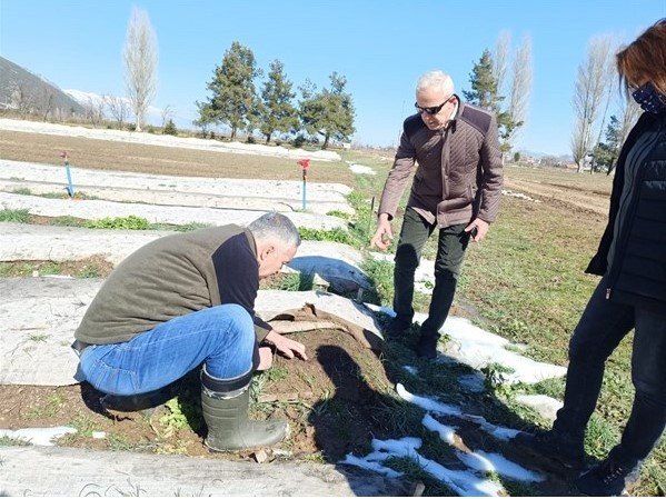 Isparta’da Bu Yıl 8 Milyon 377 Bin Fidan Yetiştirilmesi Hedefleniyor