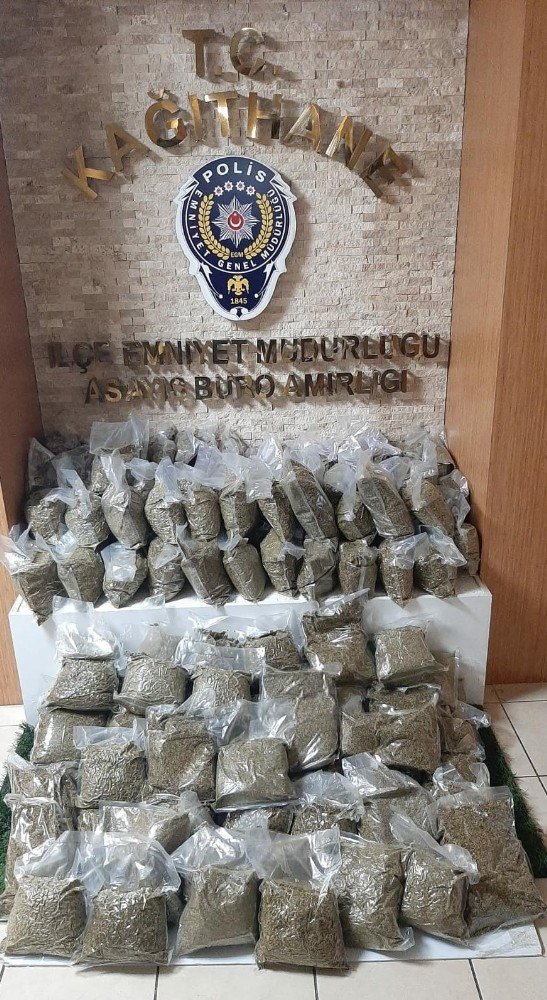 İ̇stanbul’da Dev “bonzai” Operasyonu: 74 Kilogram Ele Geçirildi