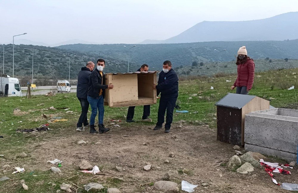 El Ele Verdiler, Sokak Hayvanlarını Barınaksız Bırakmadılar