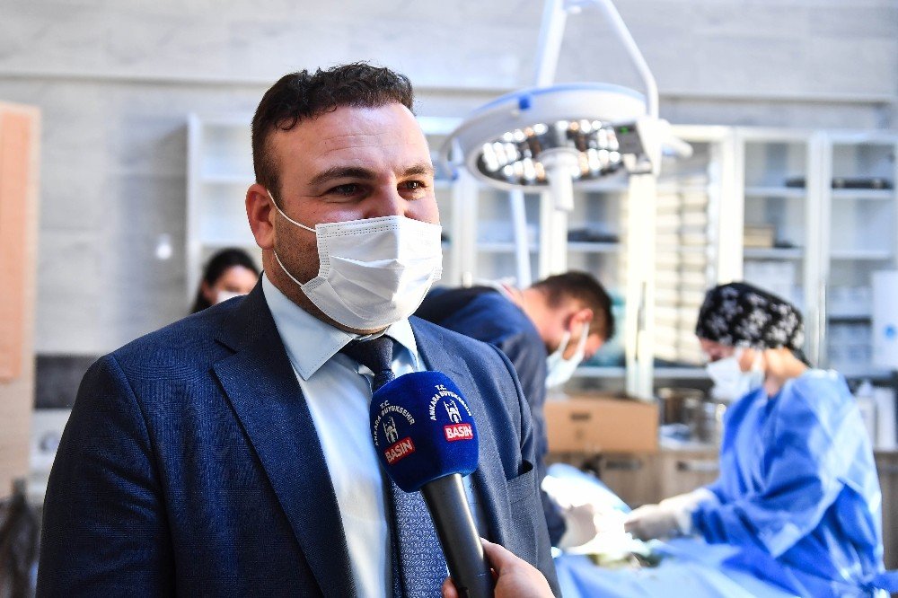 Ankara Büyükşehir Belediyesi’nden, Sokak Hayvanları İçin İlçe Belediyeler İle İşbirliği