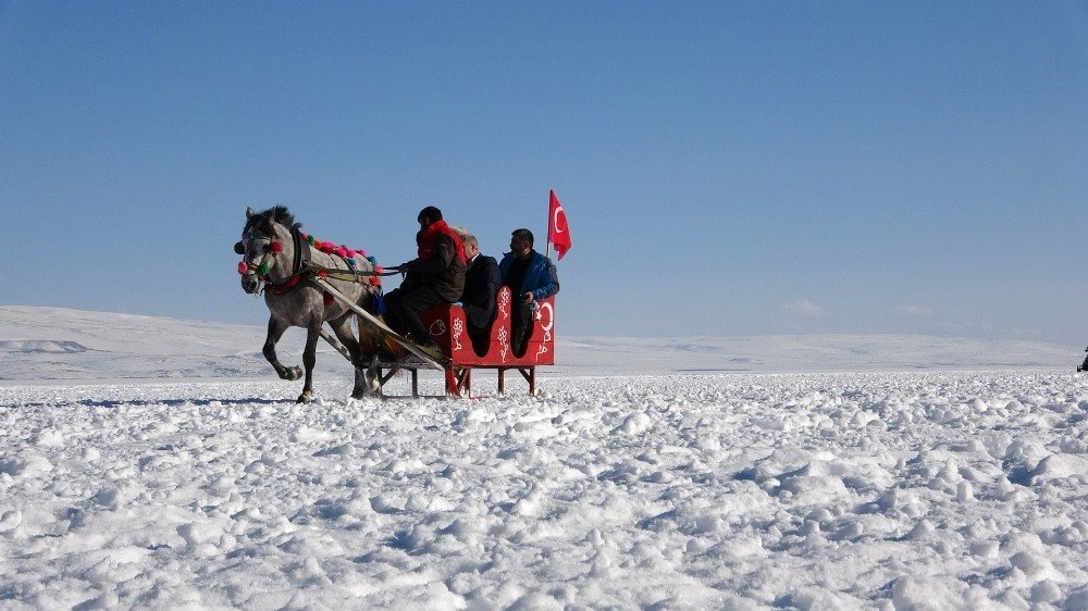 Çıldır Gölü’nde Heyecanlı Anlar