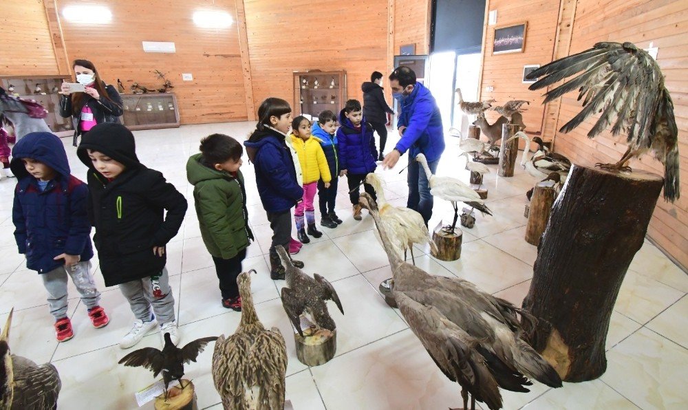 Minik Öğrenciler Kuşları İnceledi