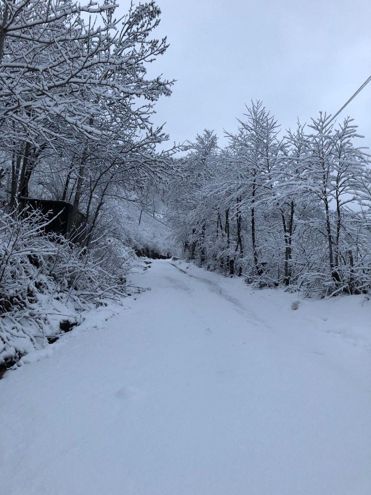 Ordu’da Baharın İlk Gününde Kar Sürprizi