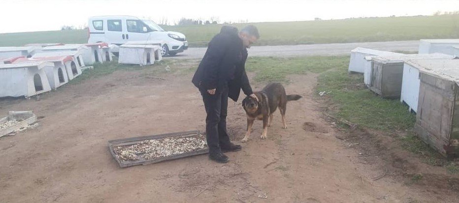 Ergene’de Sokak Hayvanları Unutulmuyor