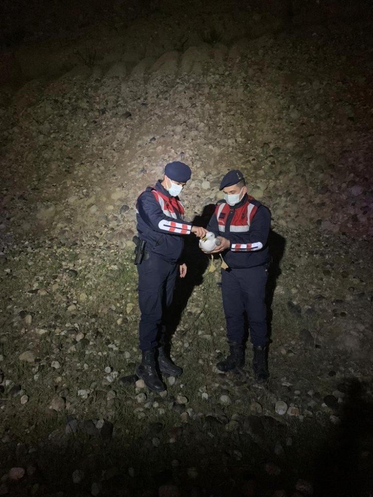 Yaralı Martıya Jandarmadan Yardım Eli