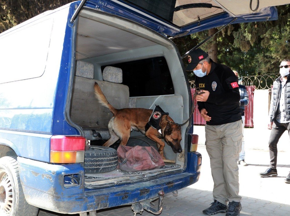 Okul Önlerinde Özel Harekat Destekli Narkotik Köpekli Uygulama